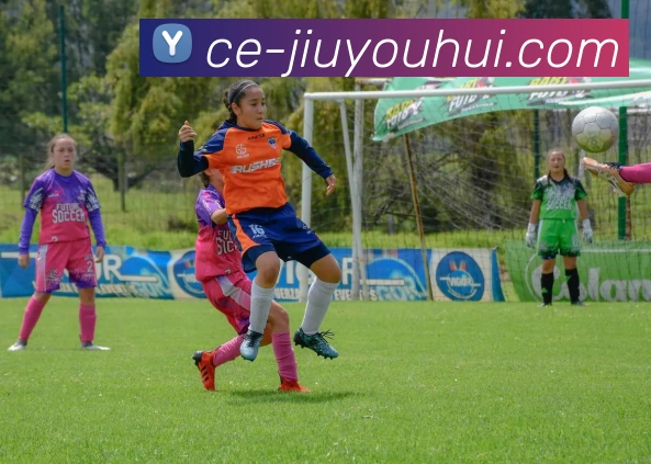 九游会J9官网APP 高清赛事图